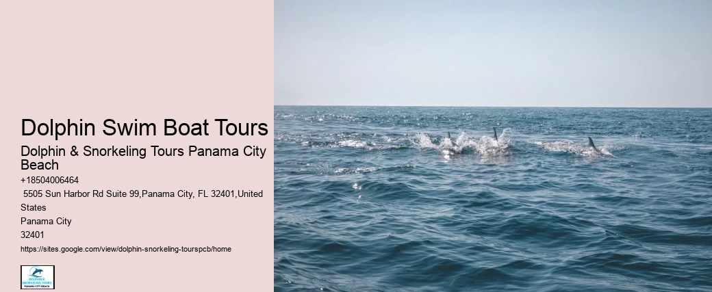 Come Swim With The Dolphins