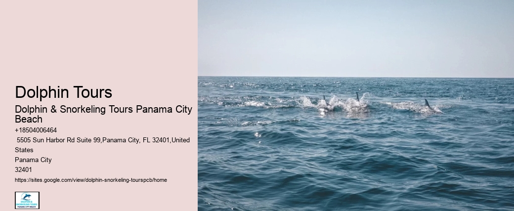 Is It Safe To Swim At Panama City Beach