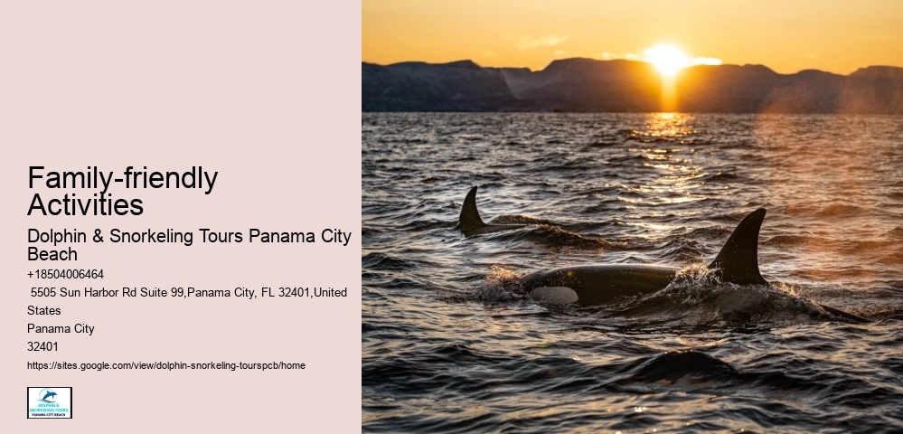 Snorkeling And Diving In Panama City Beach