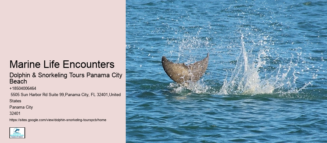 Coastal Wonders