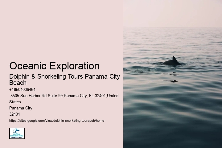 Marine Life Encounters