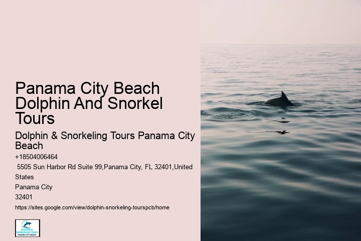 Dolphin & Snorkeling Tours