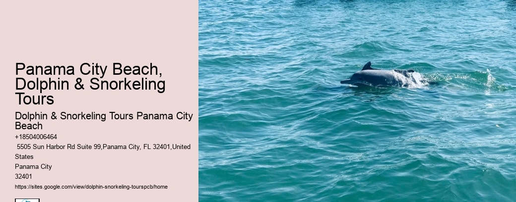 Panama City Dolphin Seafari Tours