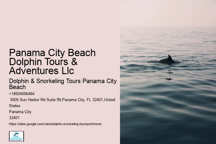 Dolphin Excursions Snorkel Adventure