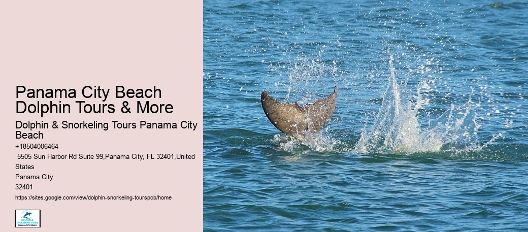 Marine Biodiversity