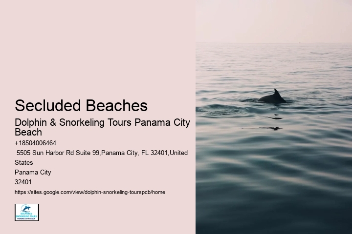 Where Is The Clearest Water In Panama City Beach