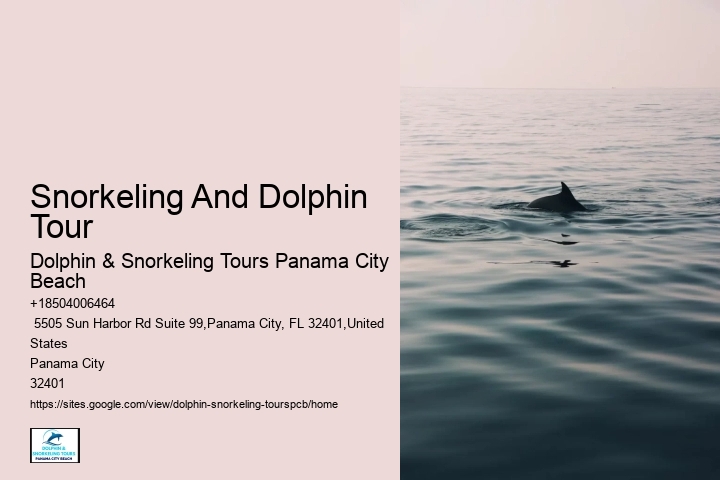 Dolphin Tours Panama City Beach