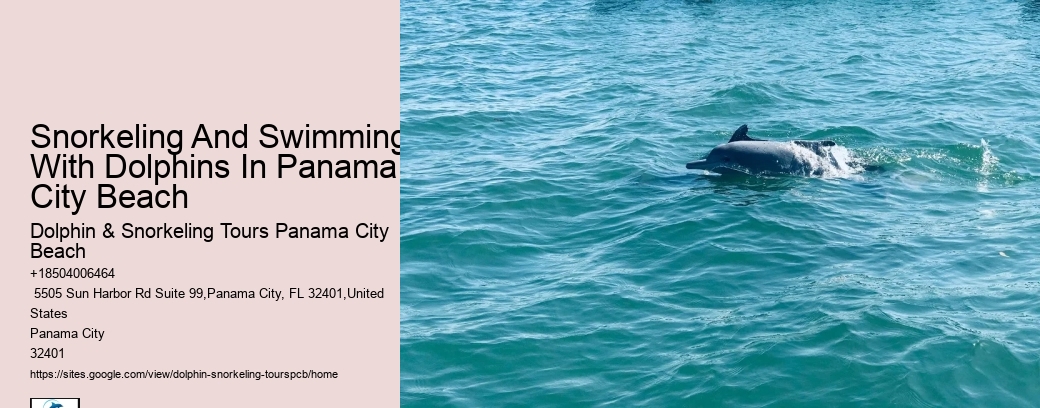 Dolphin Cruises