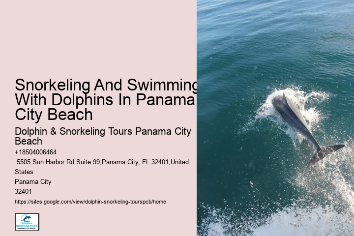 Dolphin And Snorkel Tours Panama City Beach