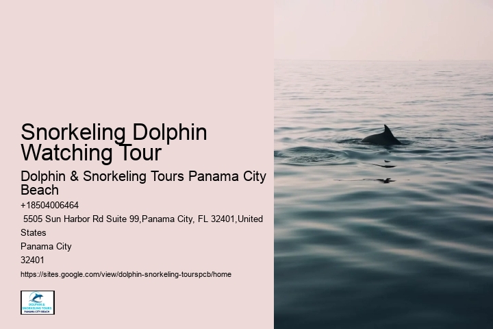 Where Can You Swim With Turtles In Panama