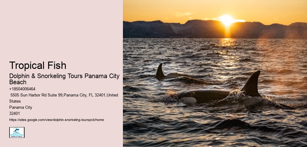 Tour Panama City