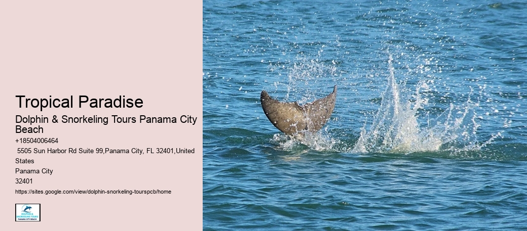 Oceanarium