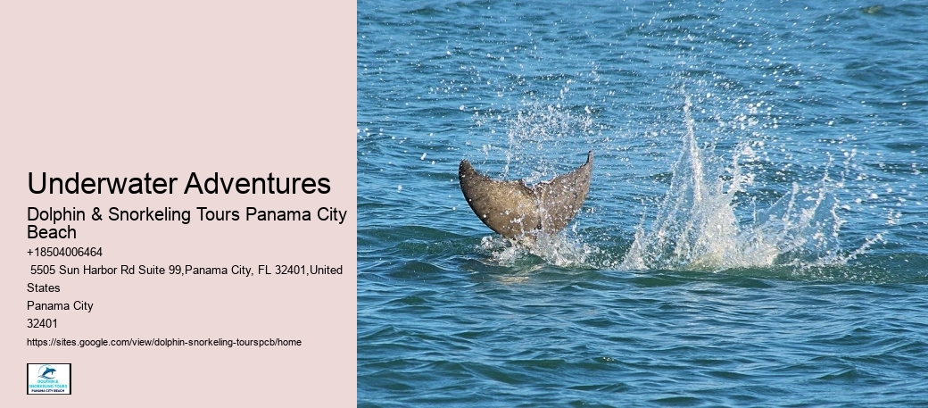 Naturalist Guides