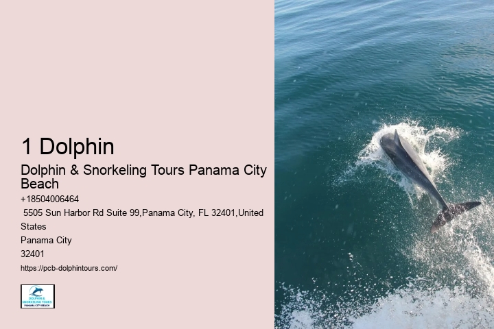 1 Dolphin