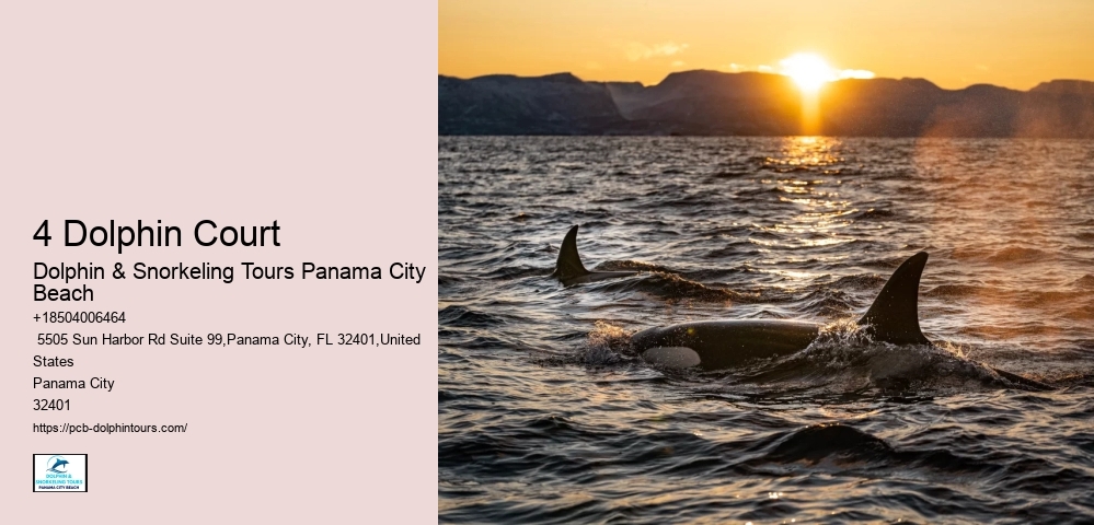 Snorkeling Tours Panama City