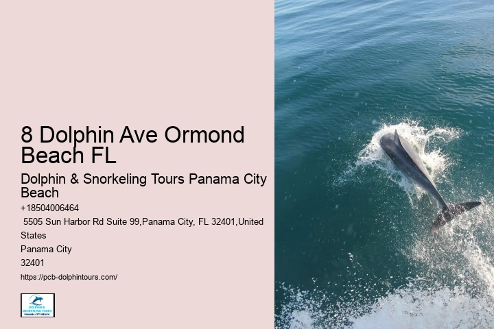 8 Dolphin Ave Ormond Beach FL
