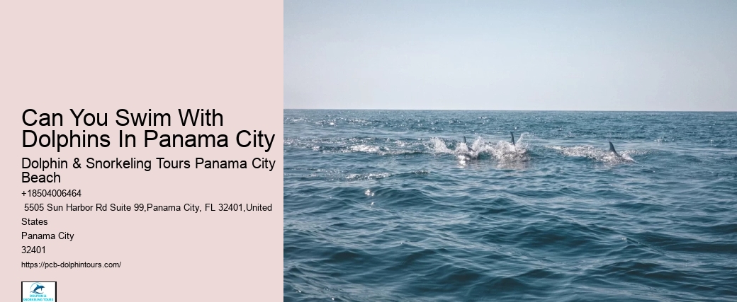 Does Panama City Beach Have Good Snorkeling
