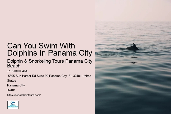 Panama City Beach, Dolphin & Snorkeling Tours