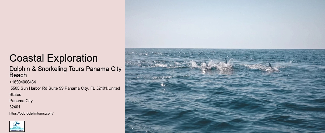 Coastal Exploration