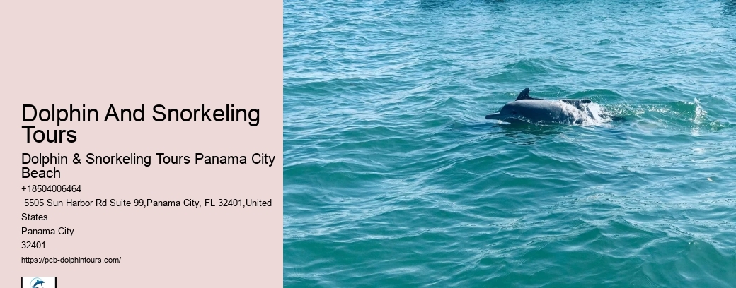 Leisure Cruises