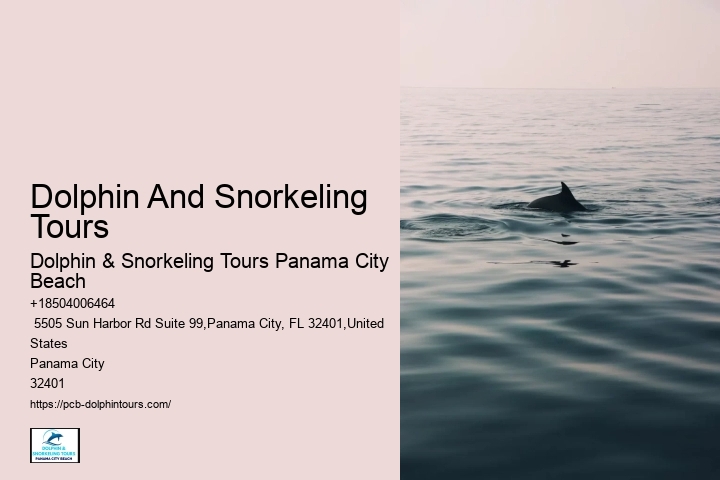 Where Are You Most Likely To See Dolphins In Florida