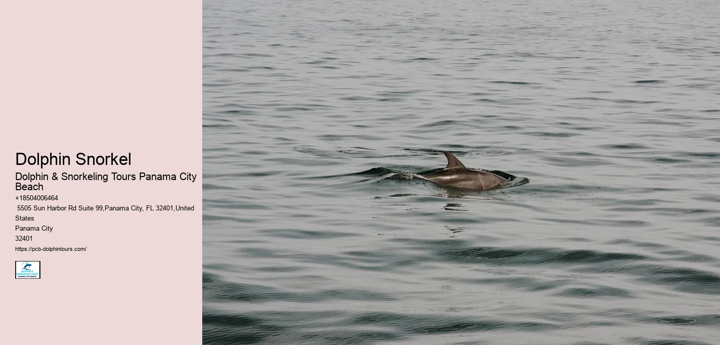 Dolphin Snorkel