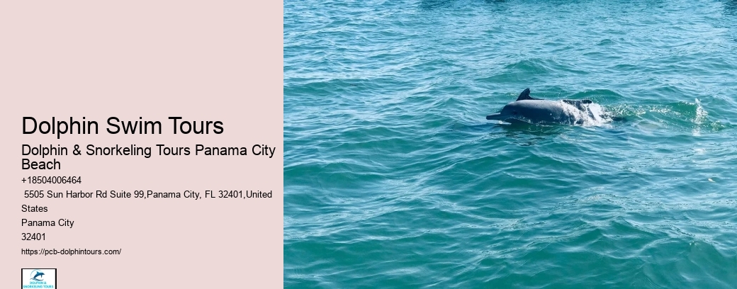 Where Is The Best Place To Swim With Dolphins
