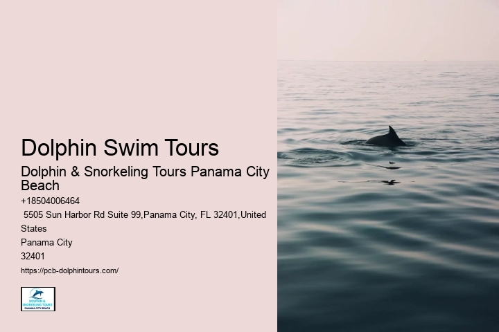 Dolphin Swim Tours