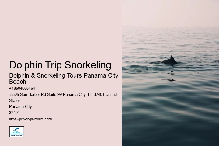 9 Of The Best Places To Go Snorkeling Around The World