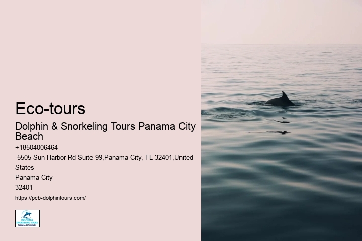 Dolphin Tour