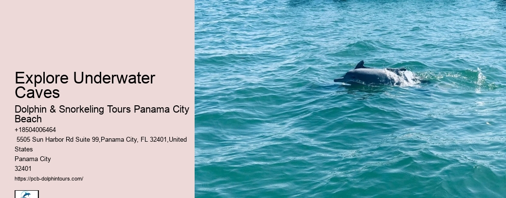 Snorkeling Tours Panama City