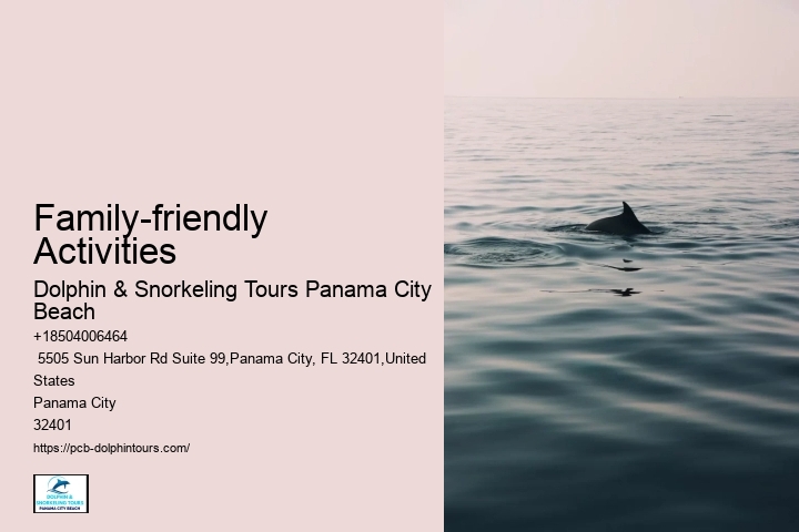 What Month Is Best For Dolphin Watching