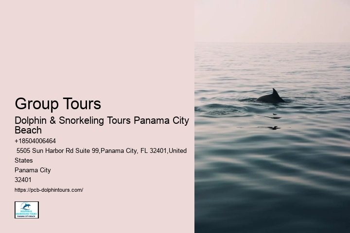 Dolphin Tours Panama City Beach Prices