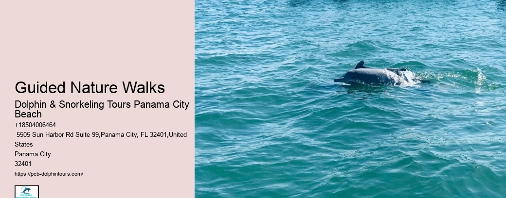 Boat Tours