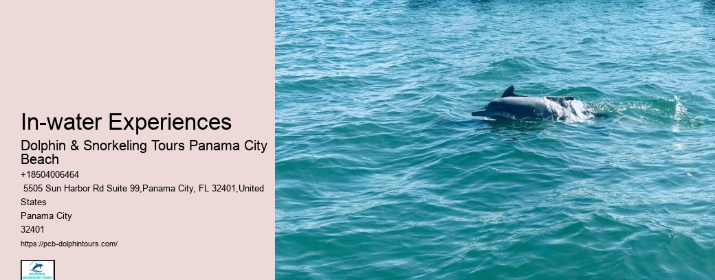 Panama City Beach Snorkeling Tours