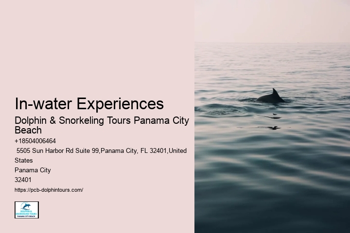 Will Dolphins Swim With Humans