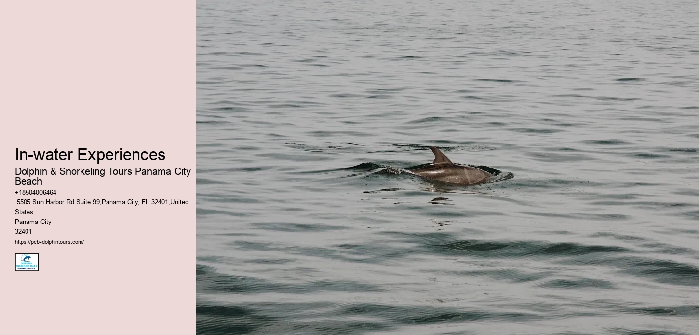 In-water Experiences