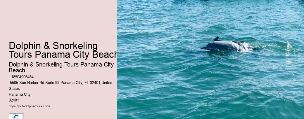 Coastal Exploration
