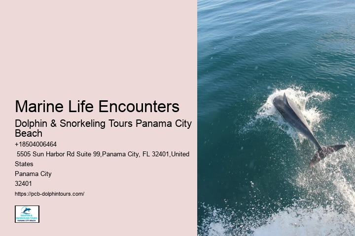 Marine Life Encounters