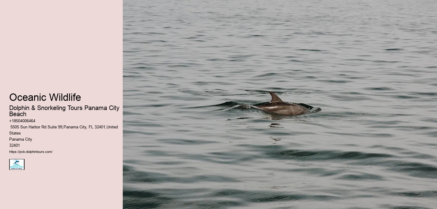 Oceanic Wildlife