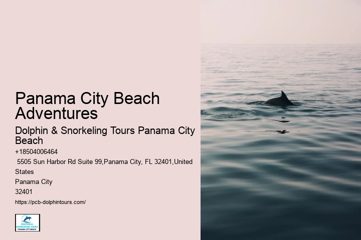 Are There Seahorses In Panama City Beach