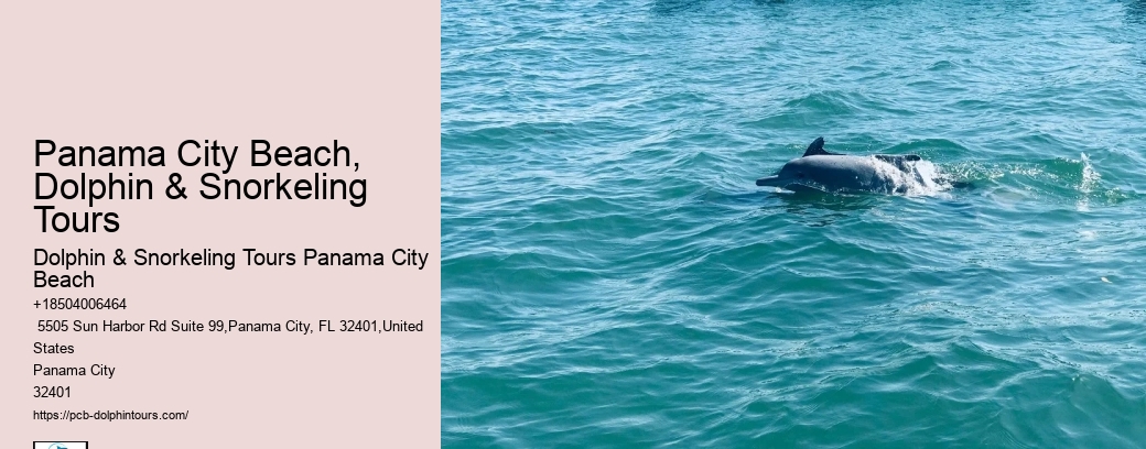 Coastal Sightseeing