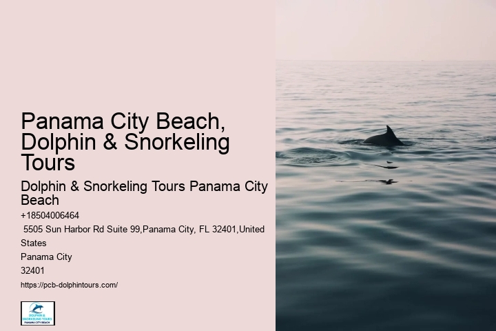 Adventurous Activities In Panama City Beach