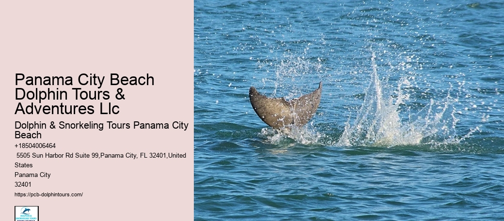 Guided Marine Tours