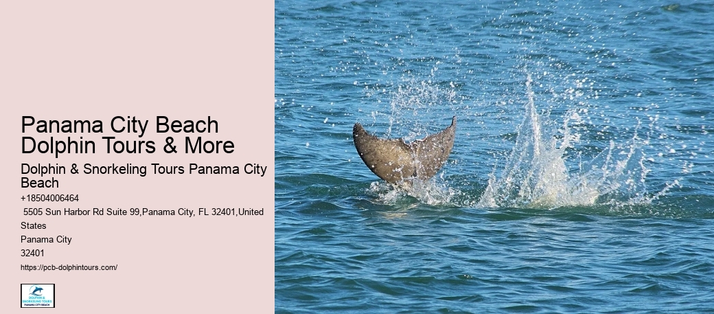 How Much Is Snorkeling In Panama City Panama