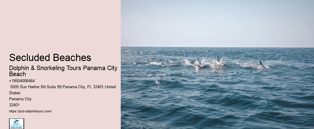 Dolphin And Snorkel Tours Panama City Beach