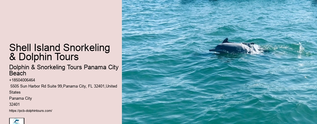 Birdwatching Opportunities
