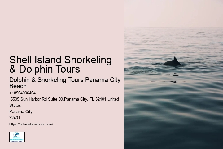 Can You Snorkel Off The Beach In Panama