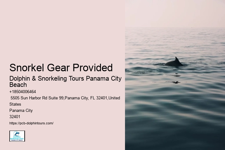 Panama City Beach Dolphin And Snorkel Tours