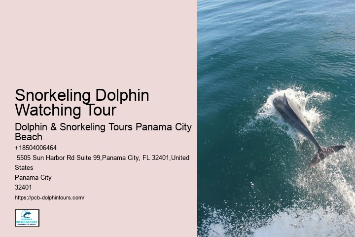 Where's The Best Place For Snorkeling In Panama City Beach